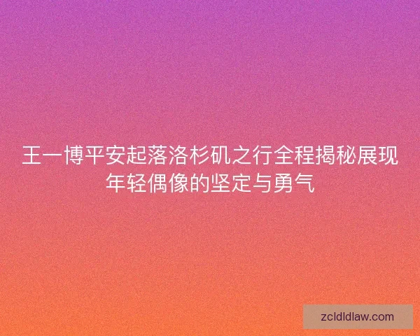 王一博平安起落洛杉矶之行全程揭秘展现年轻偶像的坚定与勇气