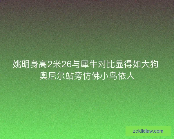姚明身高2米26与犀牛对比显得如大狗 奥尼尔站旁仿佛小鸟依人