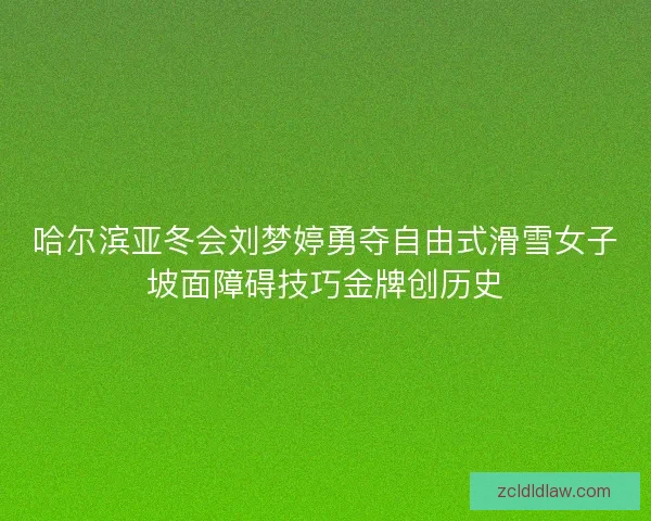 哈尔滨亚冬会刘梦婷勇夺自由式滑雪女子坡面障碍技巧金牌创历史