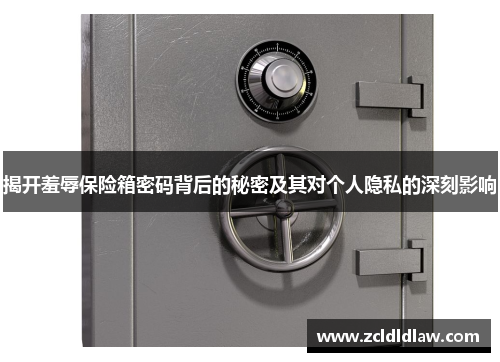 揭开羞辱保险箱密码背后的秘密及其对个人隐私的深刻影响